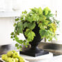 Olympia Urn 12″ – Black